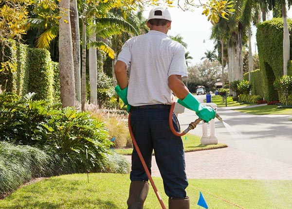 About Wellesley Island NY Pest Control